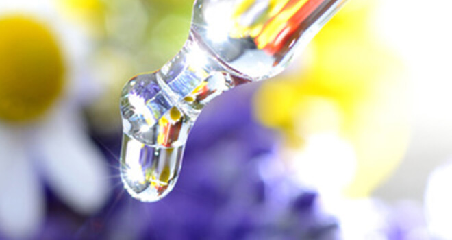 Heilmittel aus Bachblüten